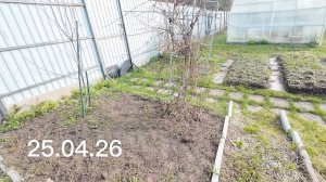 25.04.26 Видео привет с дачи 67 уч