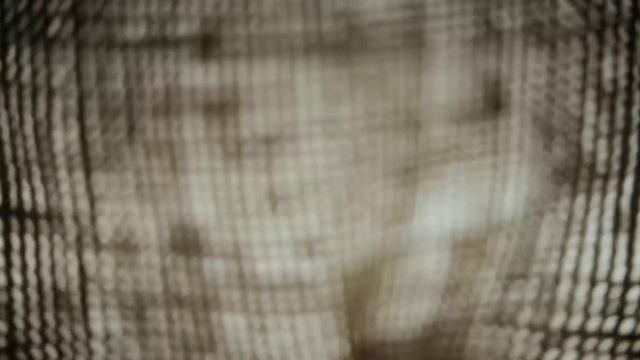 Far Cry 4. 04 Escape Line 1