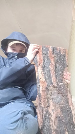 делаю деревянный щит