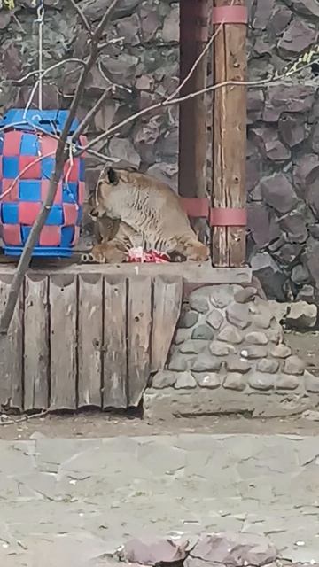 Один день в Москве, см описание, это предложение оказания услуг, 3