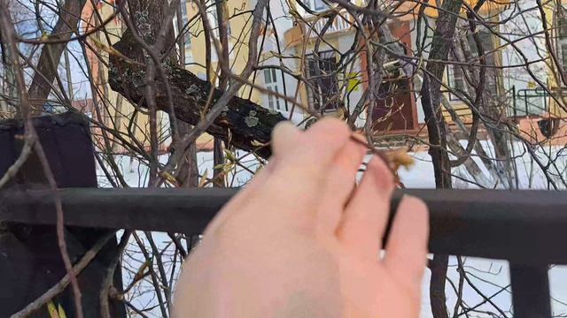 Накрываю стол к приходу гостей.Распаковка чек 🧾