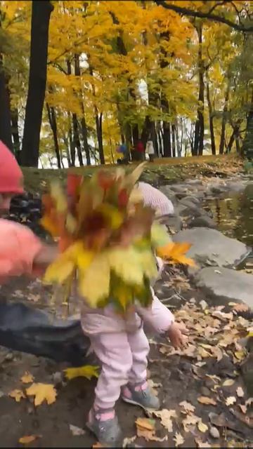 Евочка и листопад - осваивает природные красоты Санкт- Петербурга.