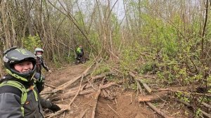 Ваулинский лось 2026.