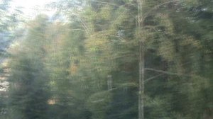 223)й КАНАТКА ГОРКИ ГОРОД