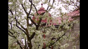 "ПОД ВОСТОЧНЫЙ МОТИВ" (Ужгород, апрель 2015)