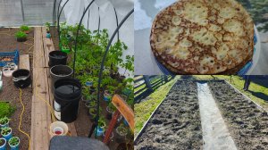 Работаем в огороде ,посадки ,рыхление ,за чернозёмом.