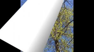 Апрель 2026.mp4