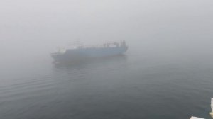 Новый рабочий день