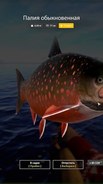 Долгожданная палия трофей на архипелаге #рр4