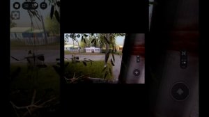 Мы ищем посхалки в городе Дамировск с федей