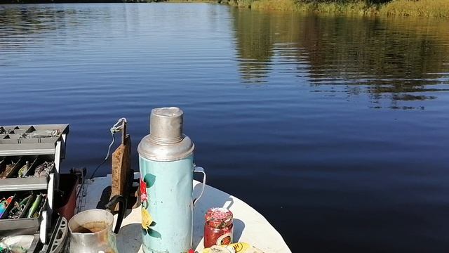 Кадр  из В.Ф. РЫБАЛКА  НА  РЕКЕ  ВЫЧЕГДА.РЫБАЦКИЙ  ЧАЙ