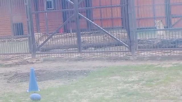 MQBX4056 Видео от Ивана 26.04.2026