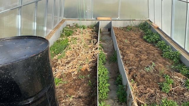 Первый день в деревне