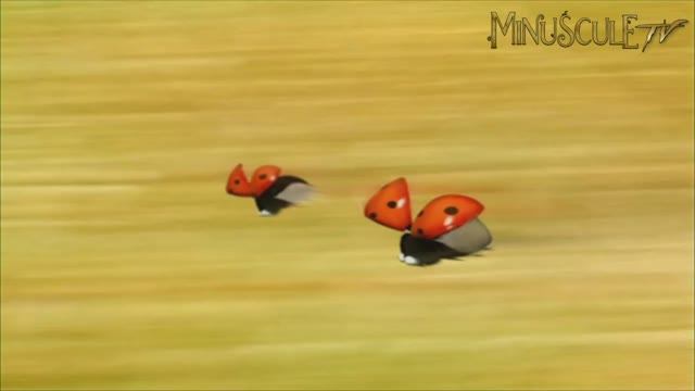 История любви