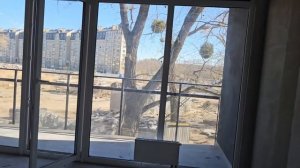 Апартаменты в Зеленоградске