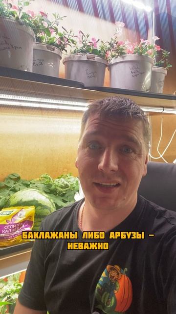 Селитра калиевая