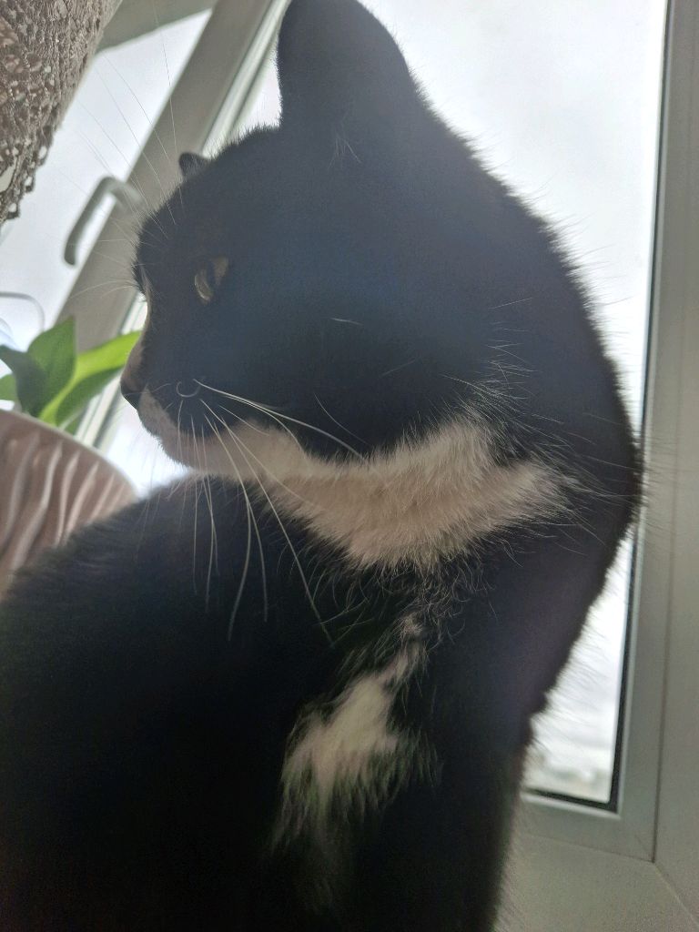 я и Филимонов