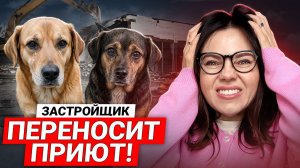 С 1 ИЮЛЯ ВСЁ МЕНЯЕТСЯ: Ставка падает, Новые условия семейной ипотеки / Застройщик переносит приют
