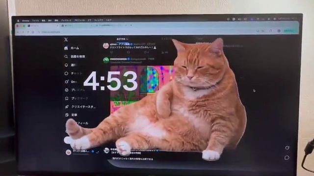 Милота: котик не даст вам сидеть в интернете слишком долго, вышло расширение для браузера...