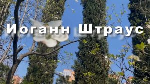 Иоганн Штраус, вальс цветов, классическая музыка