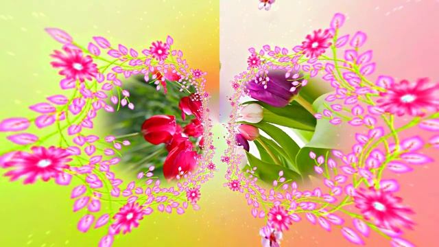 Весна! Очаровательные тюльпаны 4! Киностудия Мудрого Кота Тимофея!