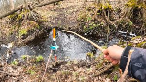 КАК В ДЕТСТВЕ, ВЫРЕЗАЛ ПАЛКУ и на ЛЕСНОЙ РУЧЕЙ рыбу ЛОВИТЬ! Рыбалка на поплавок в 2026