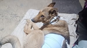 НЕМНОГО МОЕЙ ЖИЗНИ С МОЕЙ ПОДРУГОЙ