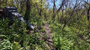 Кисловодск. В поисках одного захоронения. Прогулка по городу. 26 апреля 2026 г. 2 часть