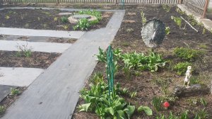 26.04.2026 Что растет в цветниках (на новом месте жительства), что планирую.