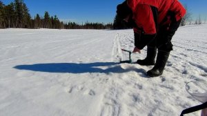 Рыбалка на озере. Ловим щучек 25.04.2026