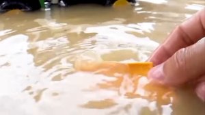 мультики для малышей/мультики для детей/смешные мультики.