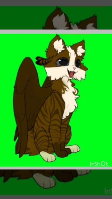 Котик для Дяди Меовла, если графика плохая это InShOt и рутуб убили её