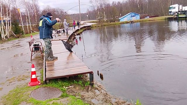 Фореливая рыбалка на 1-м Вип РК 