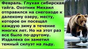 Медведь Разрывал Лёд На Озере, Когда Водолазы Спустились Они Не Поверили Своим Глазам!