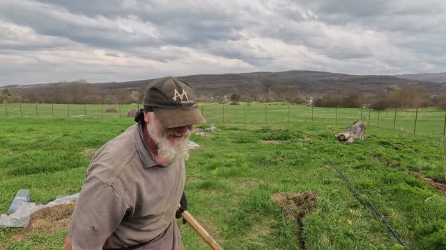 2026-04-05 ПО 08 ПОСАДИЛИ АБРИКОСЫ. КУПИЛИ СМАРТ ЧАСЫ. ПОСАДИЛИ ШКУРКИ ОТ КАРТОШКИ