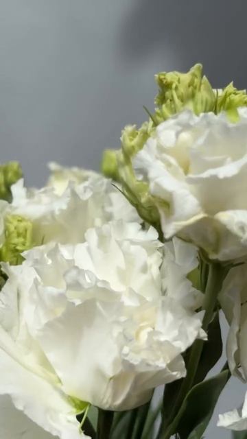 Дарить эустому - это значит дарить красоту, нежность и положительные эмоции 🤍🤍🤍