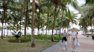 Набережная Дананга очень зелёная!