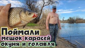 🔥КАРАСЬ ОДУРЕЛ - Наловили целое ведро на донку! Рыбалка на Волге в Астрахани в Апреле-2026 #волга