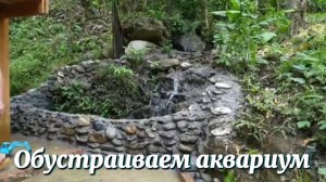 Обустраиваем аквариум. Аквариум это хорошая идея!