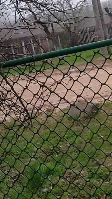 26 апреля 2026 метель