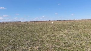 Бьерн и Бум