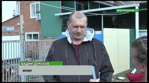 РАЗВИТИЕ ЖИВОТНОВОДСТВА НА КУБАНИ