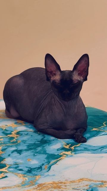 project-2026-04-26 12:22:24.1030