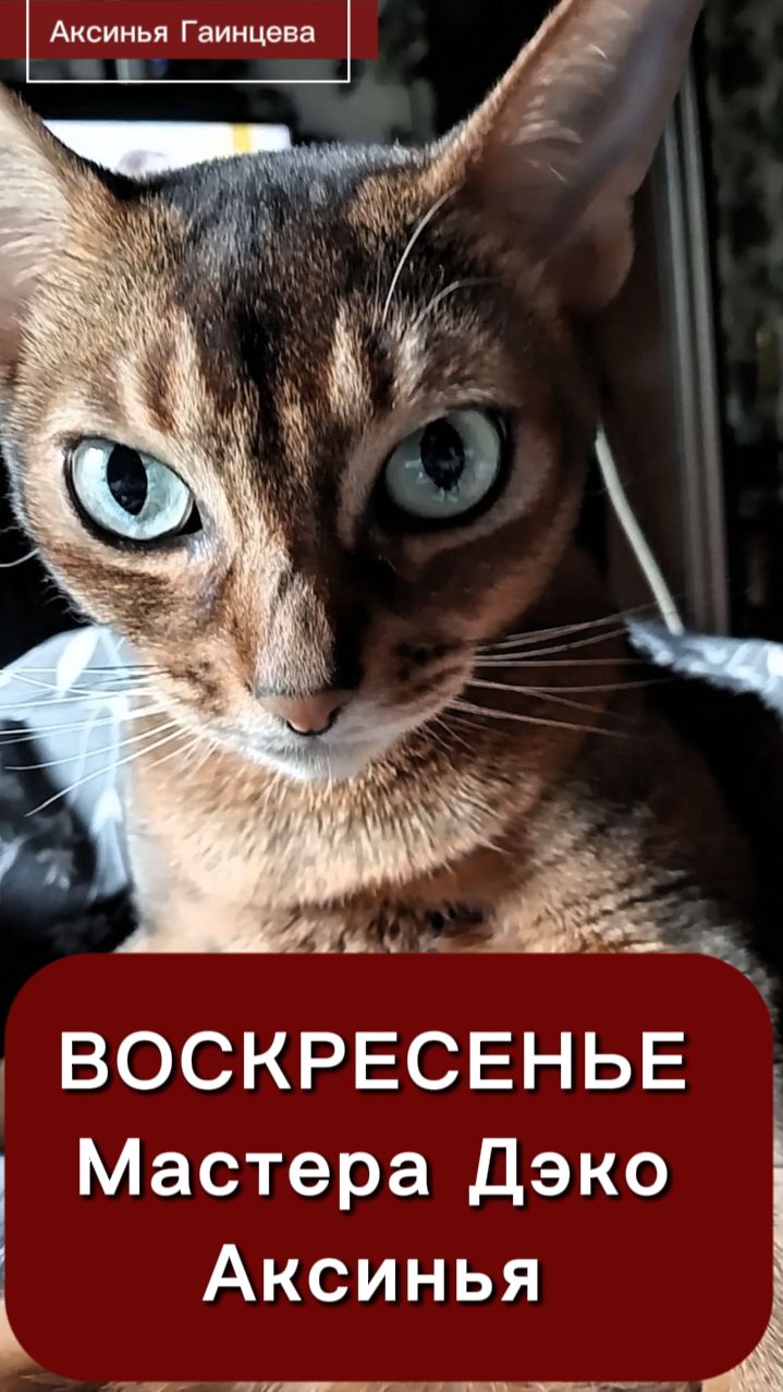 ВОСКРЕСЕНЬЕ 
Мастера Дэко 
Аксинья