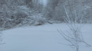 первая весенняя охота на вальдшнепа. 2026. дичь не пострадала.