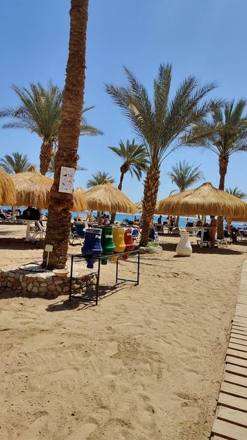 Шарм-Эль-Шейх, идем на пляж покомить воробьев и посмотреть, как купаются местные