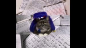 ЭДИТЫ ИЗ РУТУБА ЧАСТЬ2