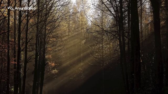 'Autumn Unwind' presented by Anjunadeep