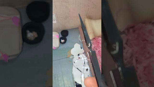 мою мою собаку