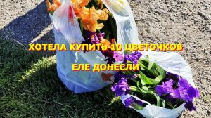 57. Краснодарский край. Еле донесли. Занимаемся двором. Мечты будут сбываться.